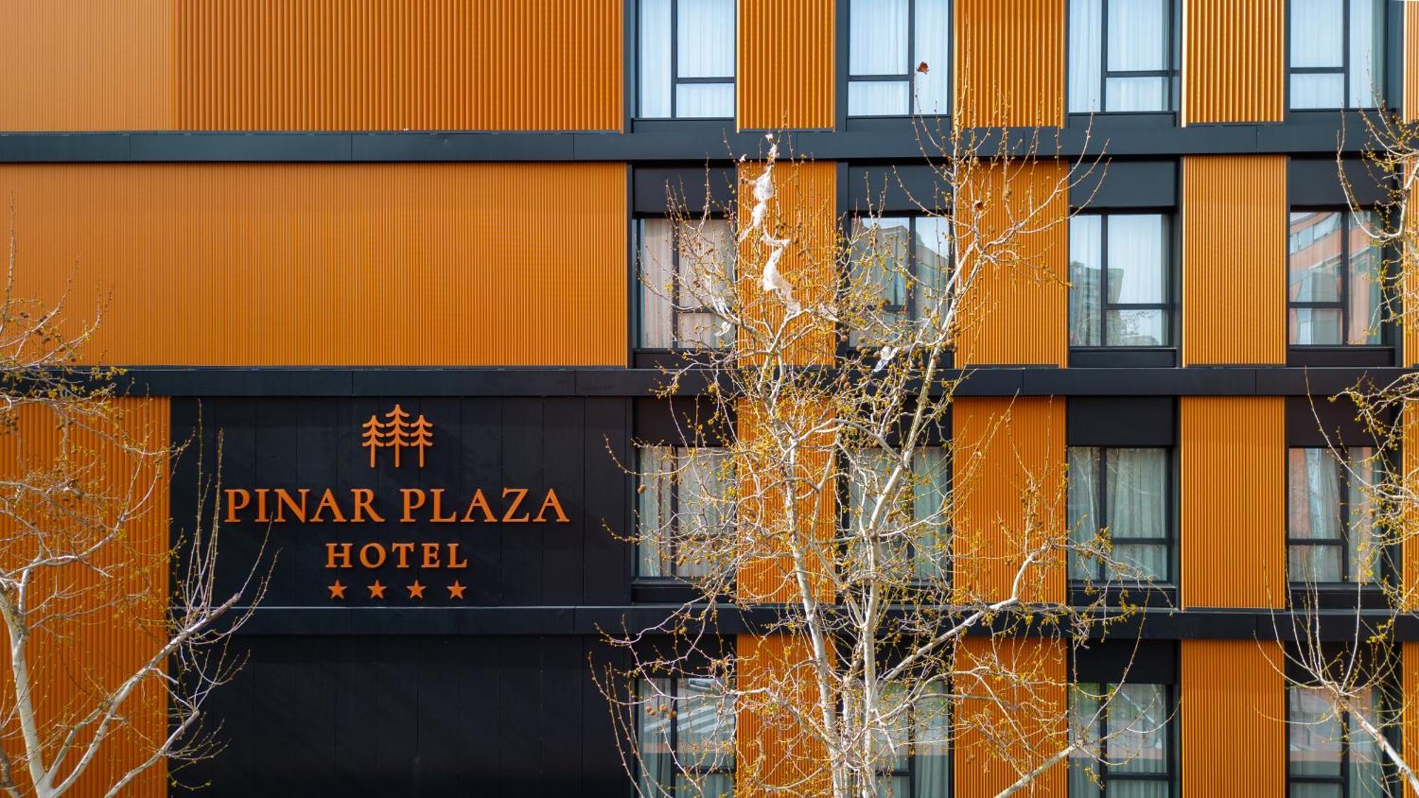 Hotel Pinar Plaza Madrid Exteriér fotografie